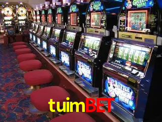 A Experiência Imersiva dos Cassinos Ao Vivo no tuimbet